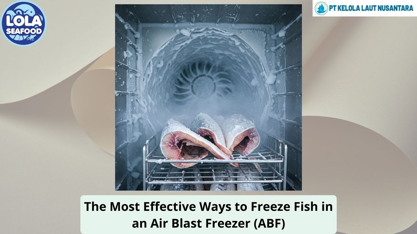 The Most Effective Ways to Freeze Fish in an Air Blast Freezer (ABF)